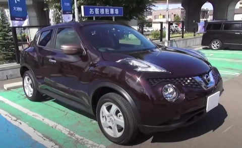 NISSAN JUKE 2014, 80th Special Color Limited. Обзор экстерьера и интерьера.
